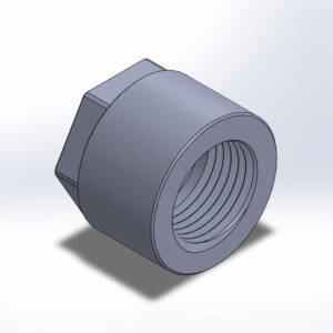 NPT Caps - Hex