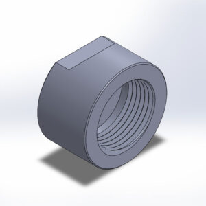 NPT Caps - Flats